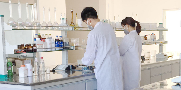 擁有專業的技術研發團隊